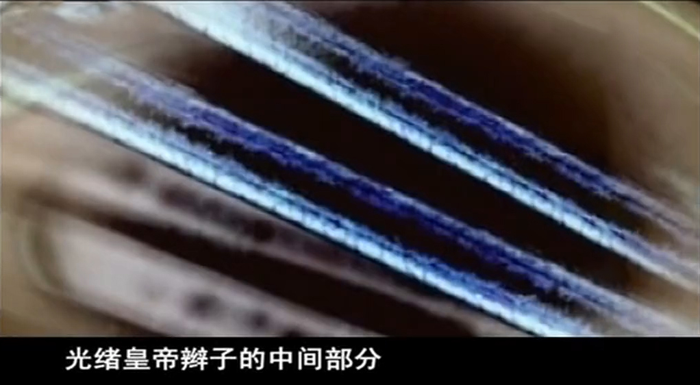 光绪死因解密,光绪死亡之谜档案