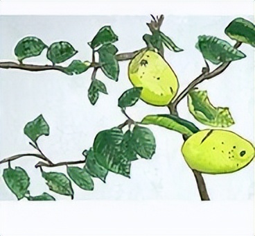 古代饮食礼仪要遵循哪些规则,古代吃饭有什么讲究和礼仪