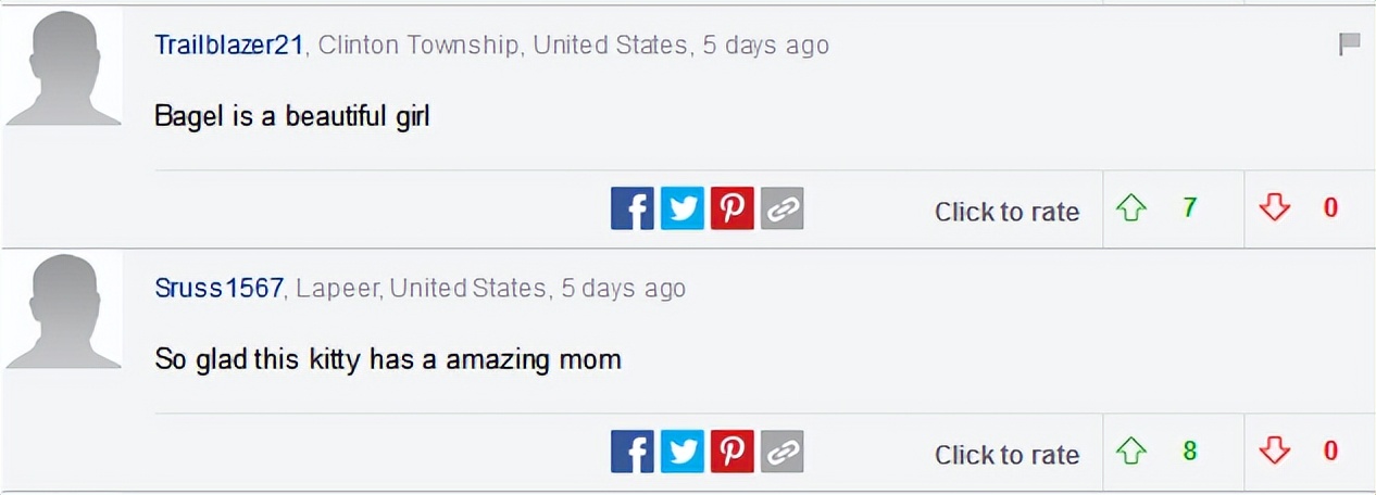 天生没眼睛的猫咪,天生没有眼睛的猫