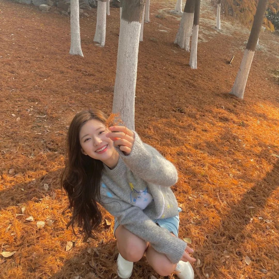 赵露思表情包头像,下载赵露思爱豆头像