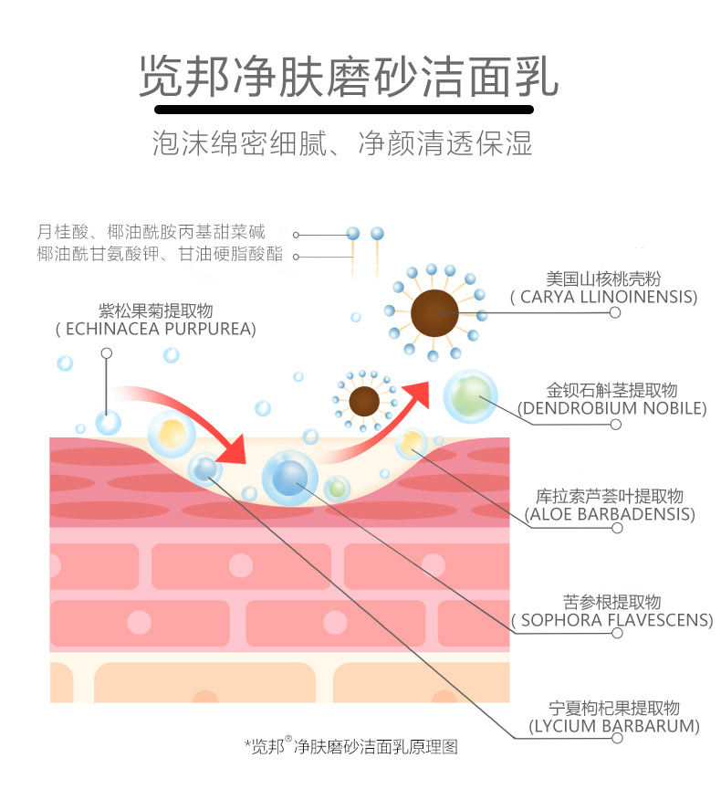 览邦净肤磨砂洗面奶,览邦净肤磨砂洁面乳多少钱