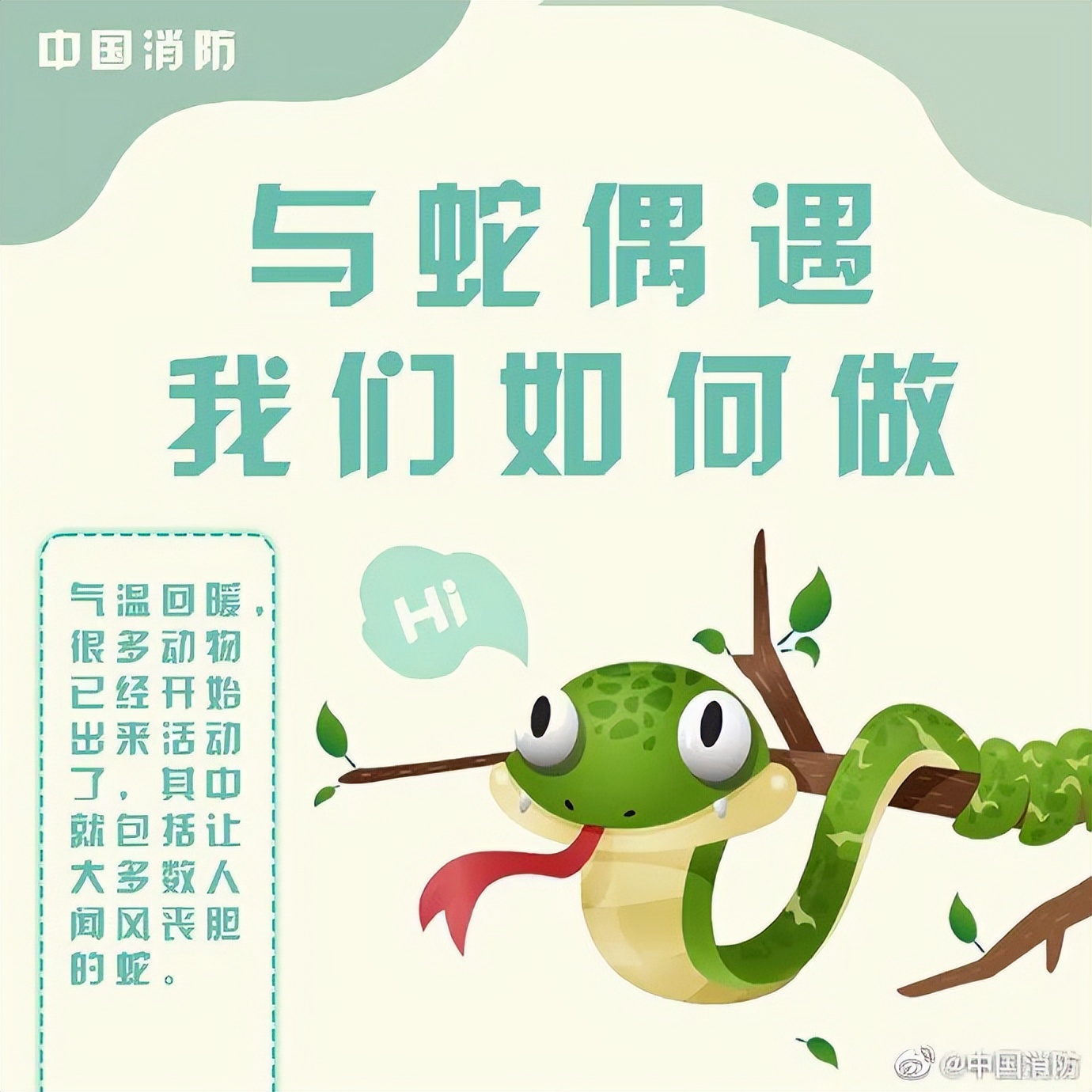 男子睡觉被蛇缠脚,男子被蛇缠腿3米