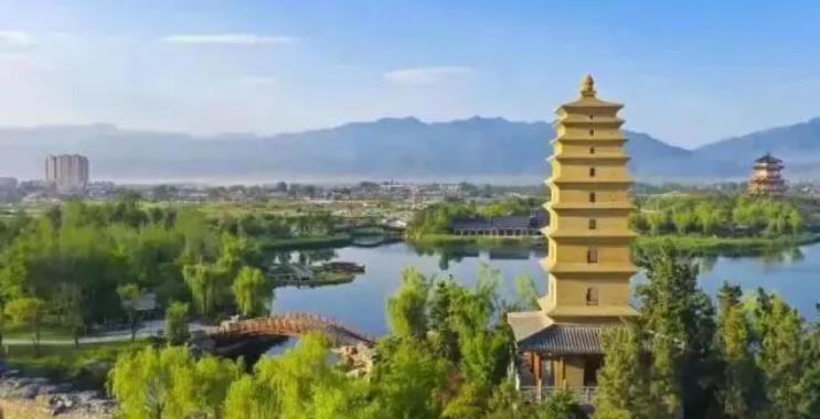 陕西核酸贴纸背后的故事