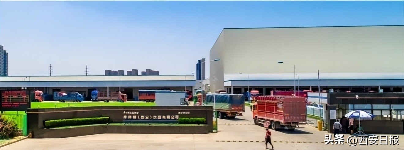 从一个面团到一碗好面，这个“国民级美食”你了解多少？