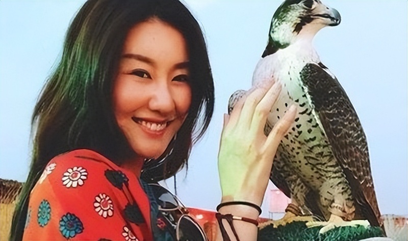 王宝强靠装疯卖傻成影帝甄子丹,傻根王宝强