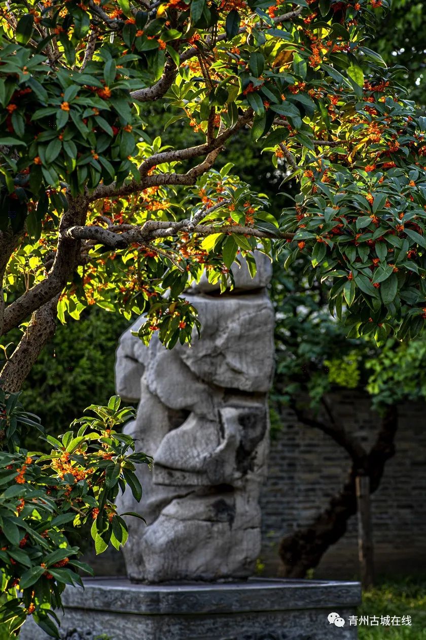 诗溢古风，畅享秋韵。秋已暮、红稀香少