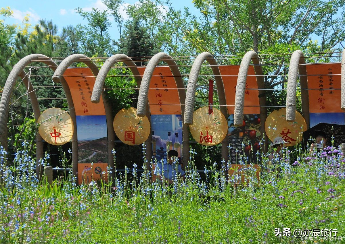 镇江旅游必去十大景点,镇江旅游必去的景点推荐