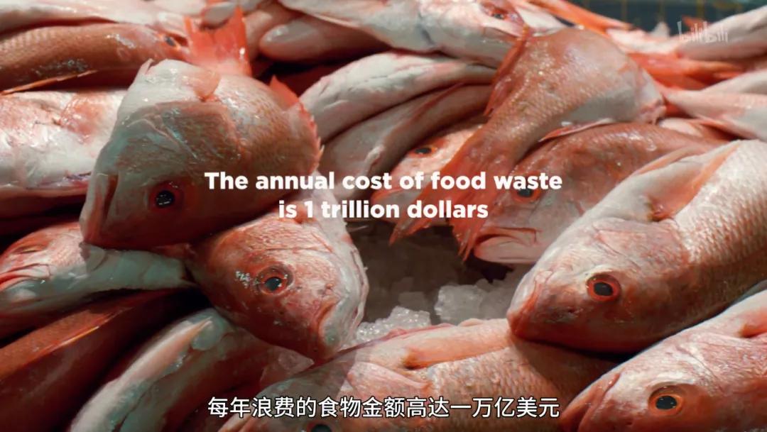 最后一部良心之作,一部真正良心之作全程毫无尿点