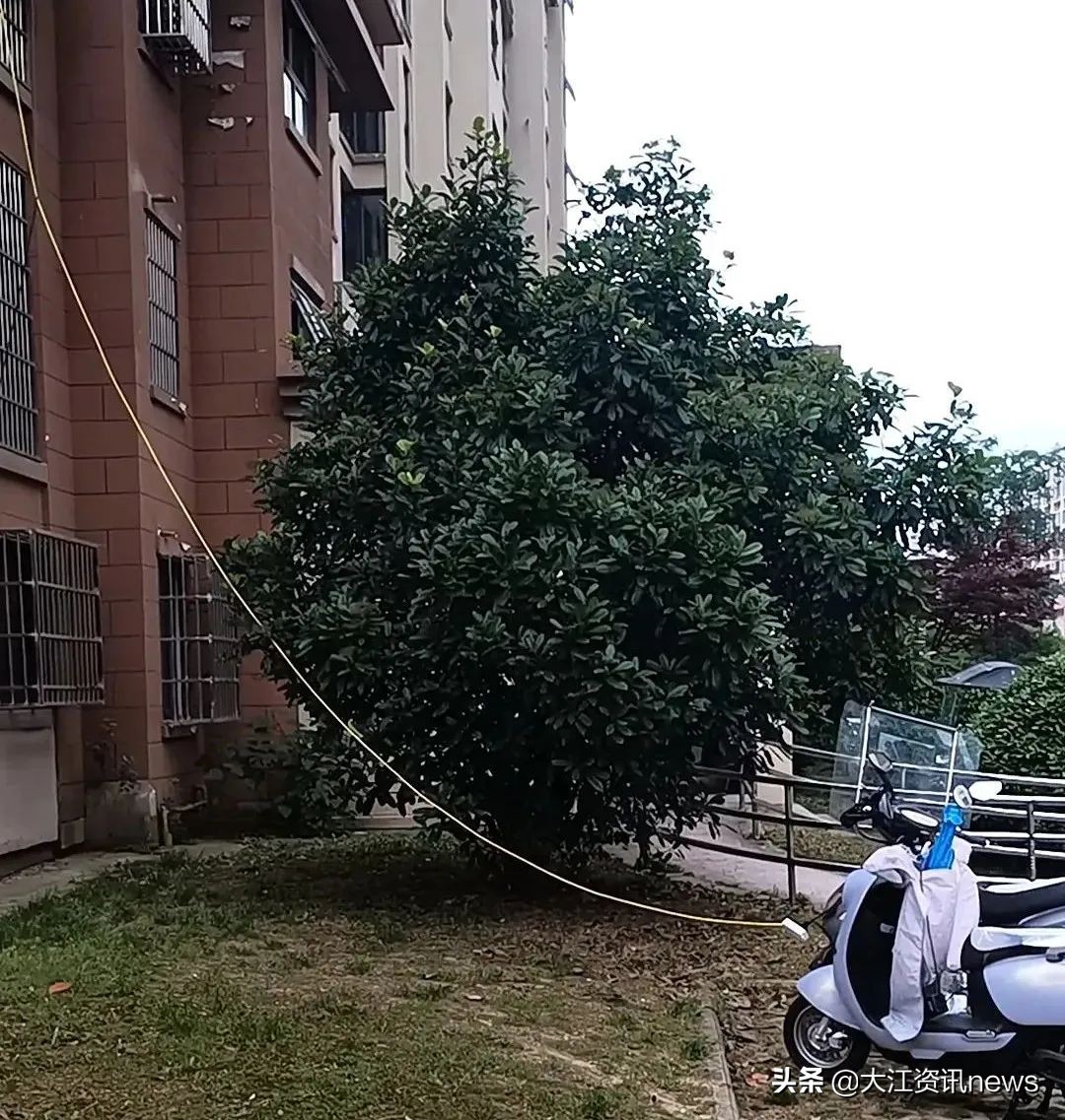 大江资讯芜湖,大江新闻采访