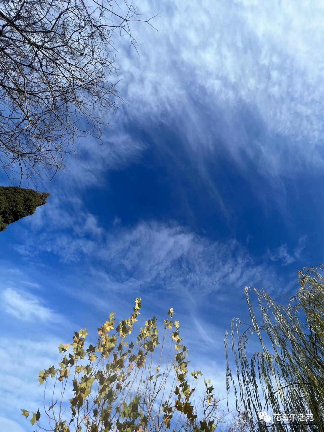 看世界杯足球比赛有感,看世界杯日记300字