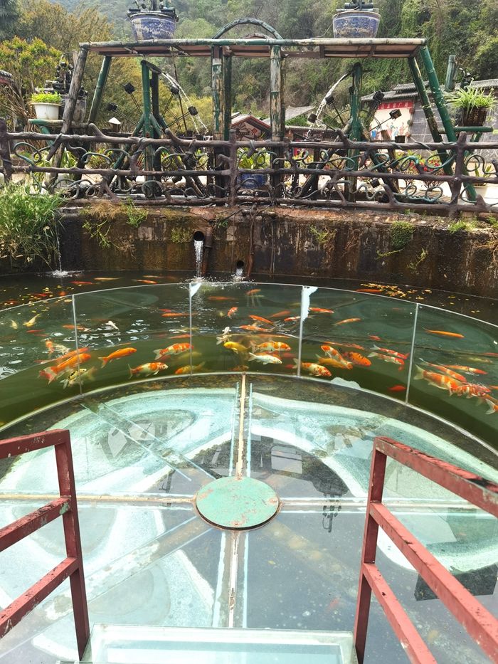 昆明青龙谷生态旅游,昆明市青龙峡风景区