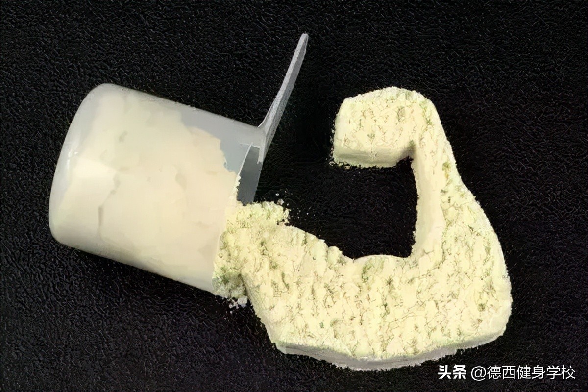 蛋白粉有什么用 (蛋白粉有营养吗)