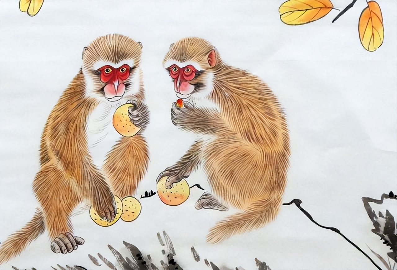 生肖属龙和生肖猴的性格特点,生肖狗和生肖猴性格相合吗