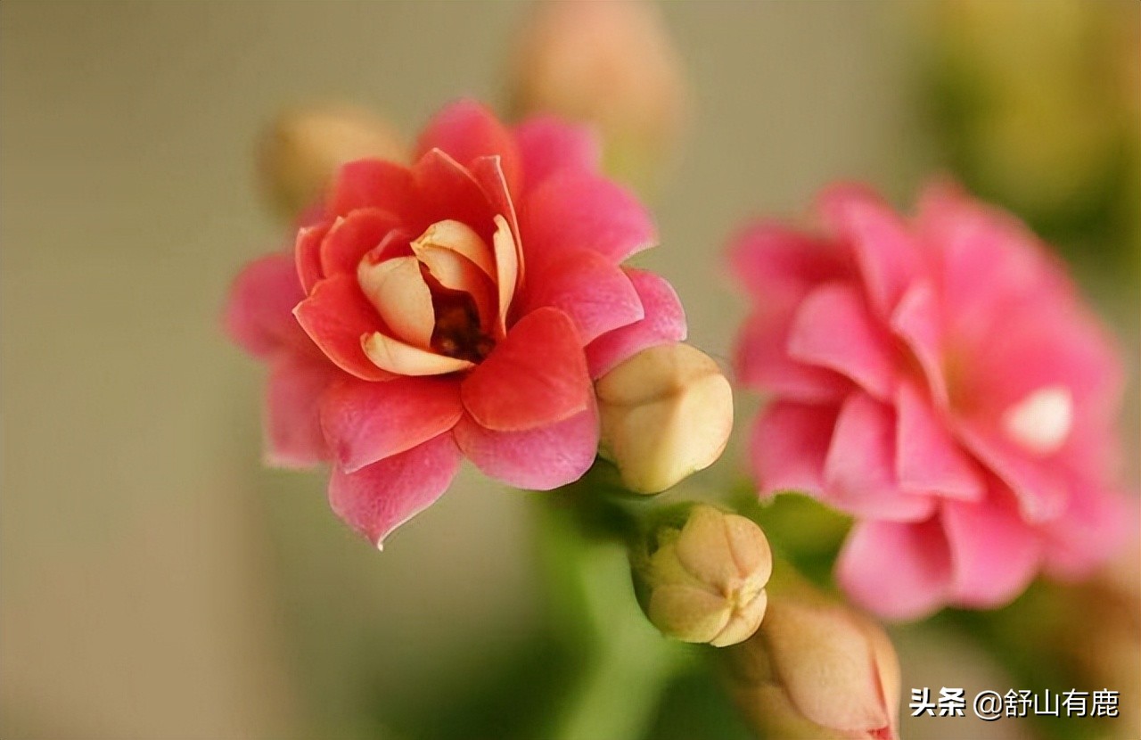 如何看出人有富贵之相,有贵相的人命运