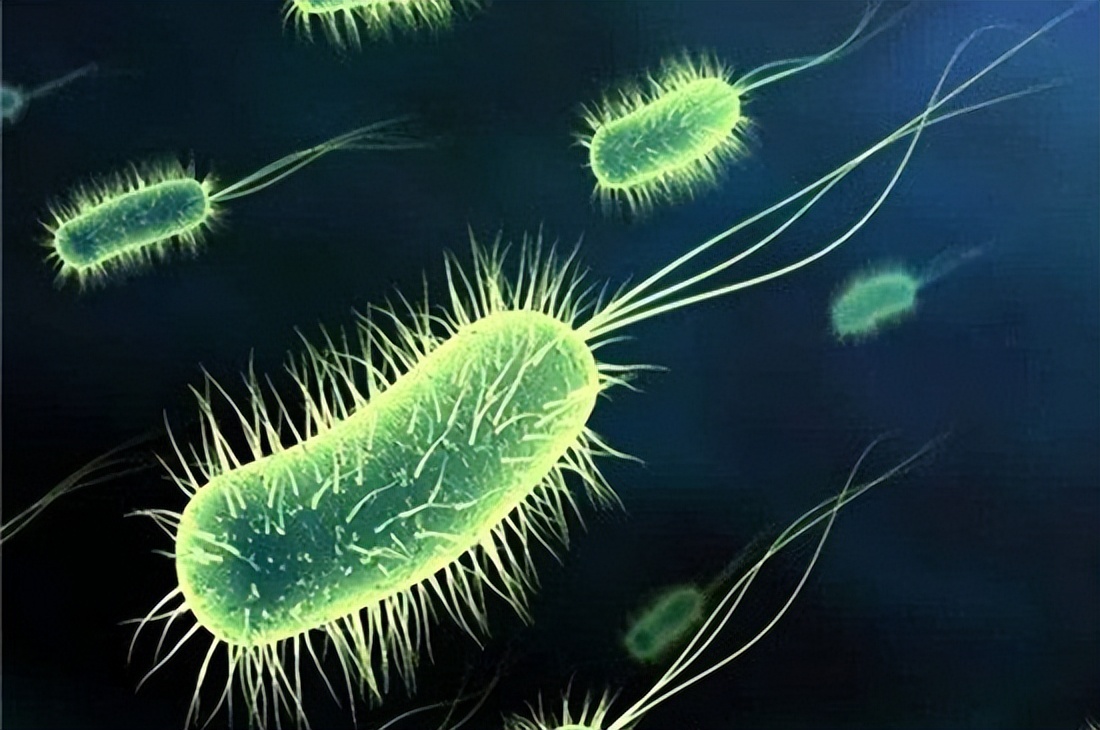 你有洗屁股的习惯吗,你有洗冷水澡的习惯吗