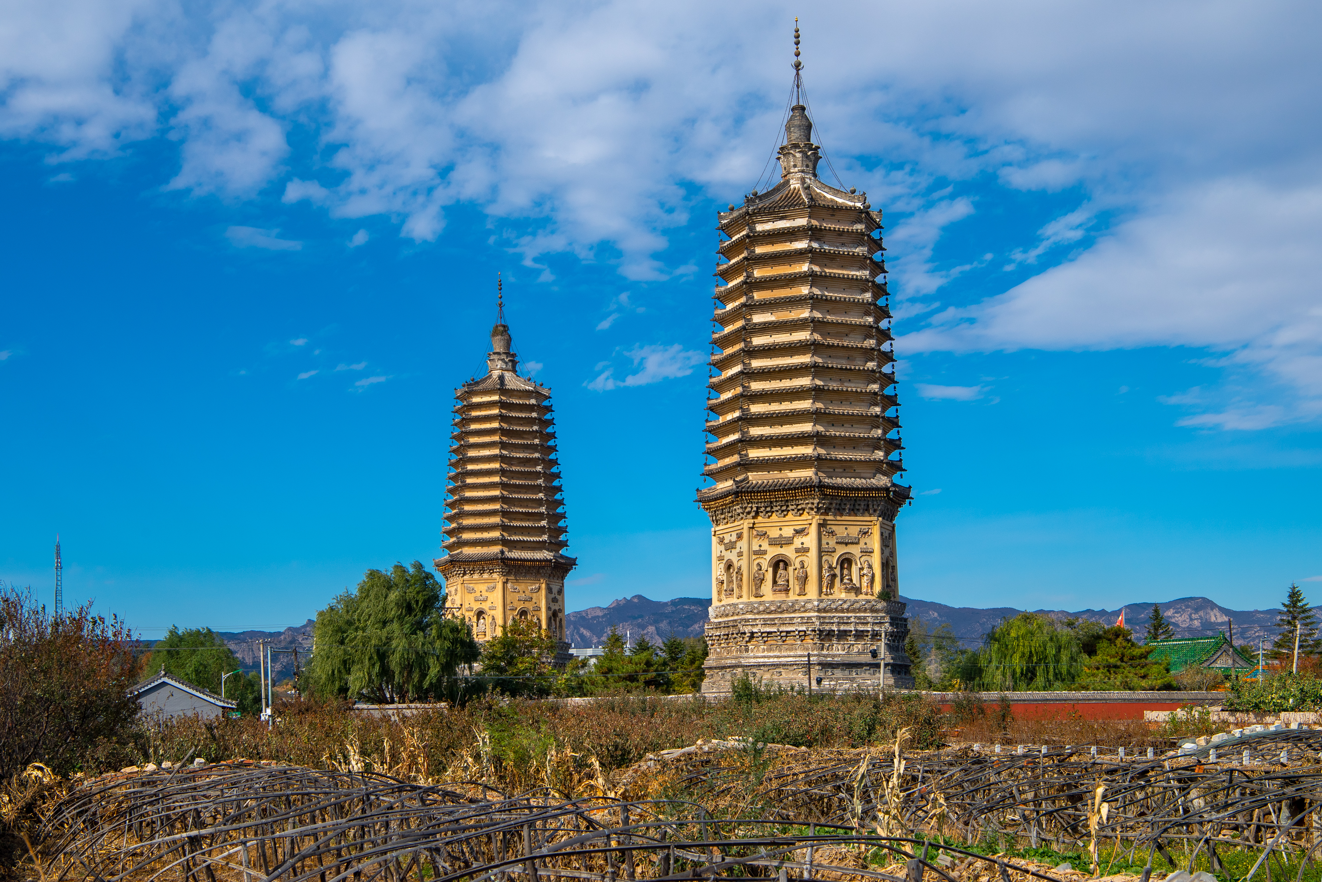 老许游记大全,老许游记第四天完整版