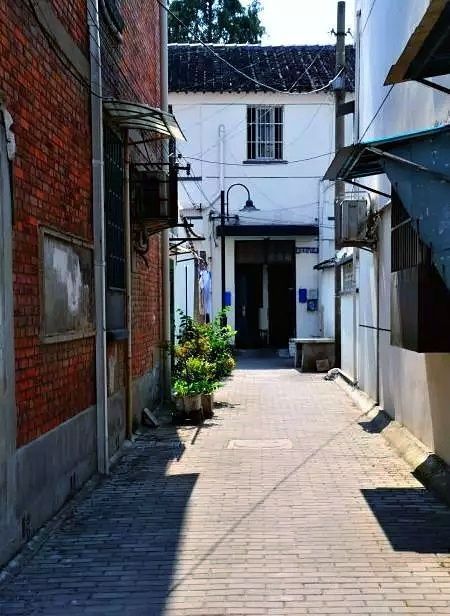 苏州冷门但好看的地方,苏州冷门园林