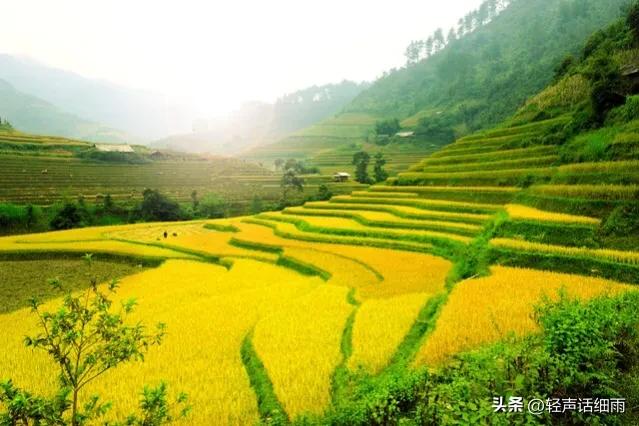 农村土地承包给个人合法吗,农村土地承包种地合算吗