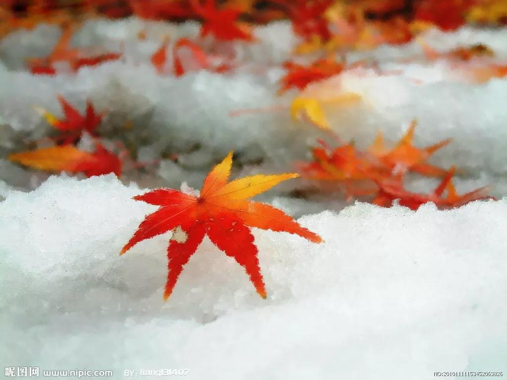 岁月静好写芳华，新年歌里话耕耘