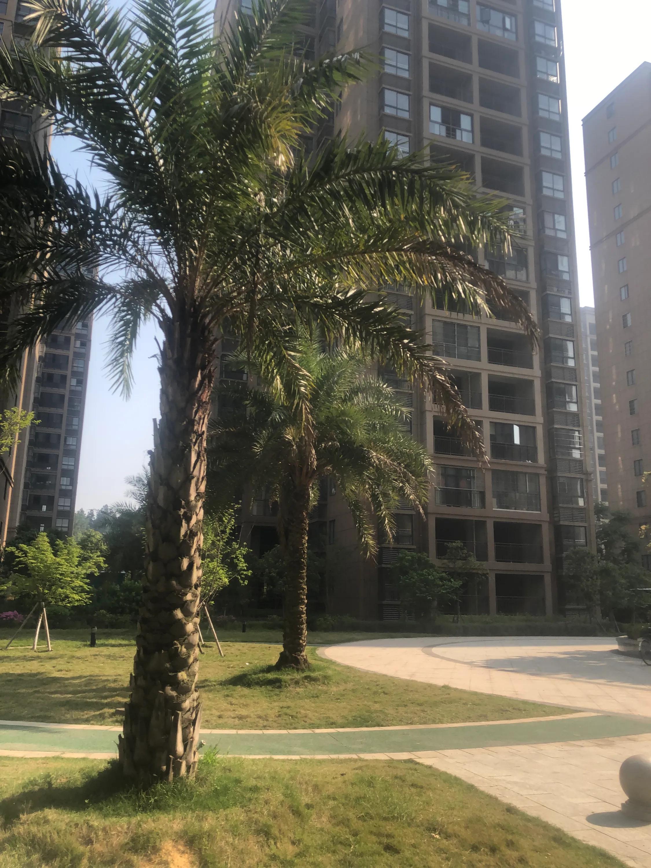 青春期孩子买东西怎么正确引导,青春期孩子消费观念怎么教育