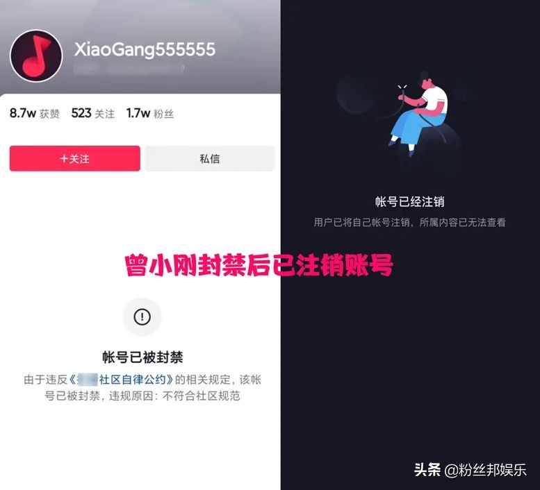 网红被法院执行悬赏500,法院悬赏500元寻找网红富二代