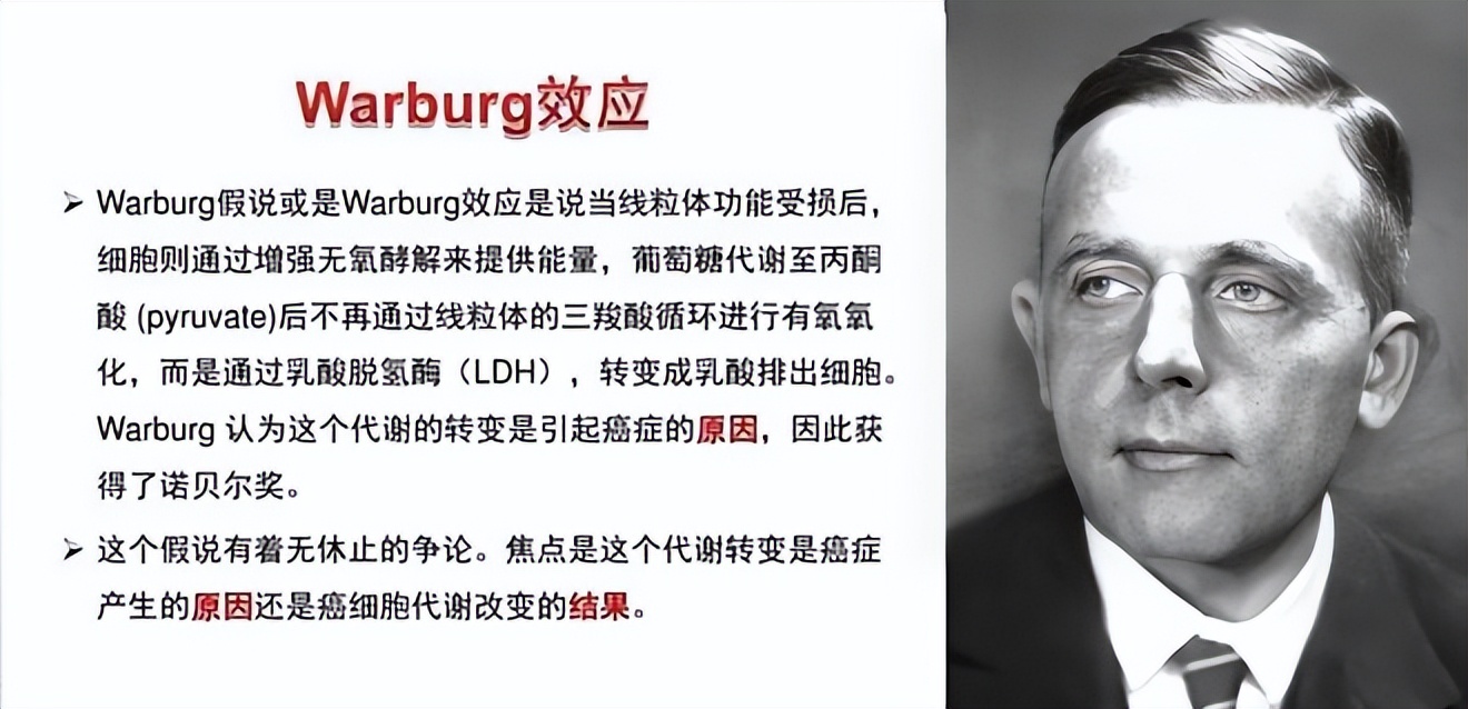 药神抗癌药叫什么,药神组合物