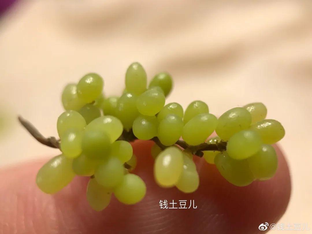 90后妈妈因造假走红,网红辣妈骗局