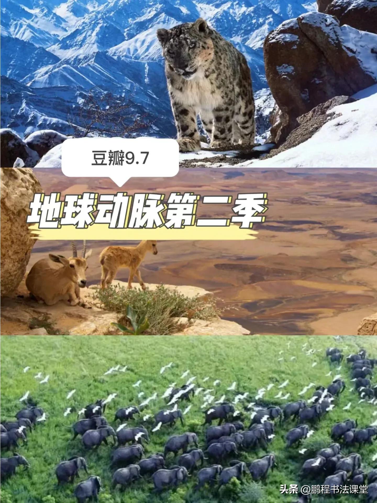 暑假看什么励志纪录片,暑假安排四张卷子看两部纪录片