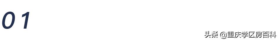 南开中学2020高考各分数段人数,南开中学2019年高考