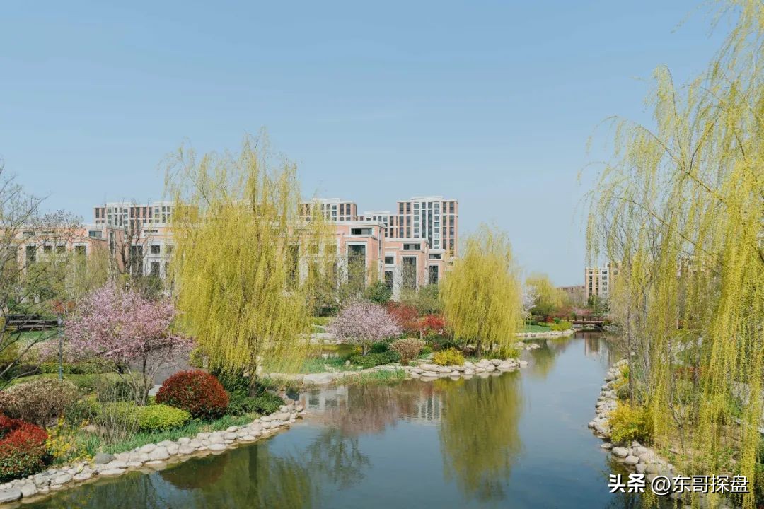 什么是绿博？“甄嬛”绿博2023年能否上位？