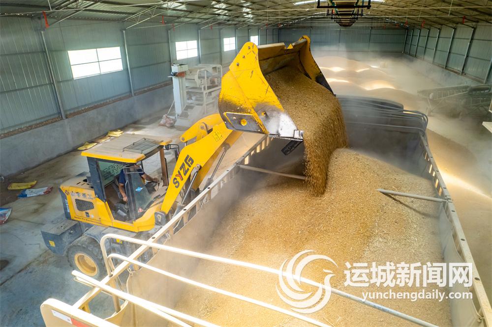 种粮人的故事,种粮人的视频