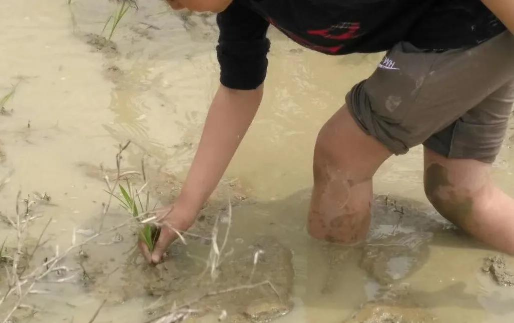 放学了先写作业还是先玩儿？小学做得最对的一件事