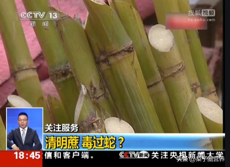 警惕这种水果比毒蛇还毒,警惕这种剧毒千万别拿来煲汤