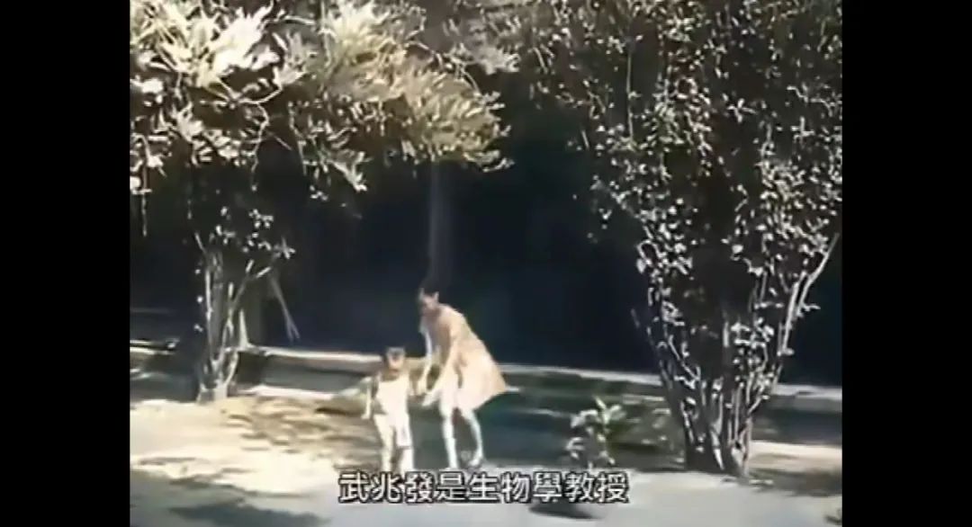 盘点“京圈太太”的真实生活,京圈太太