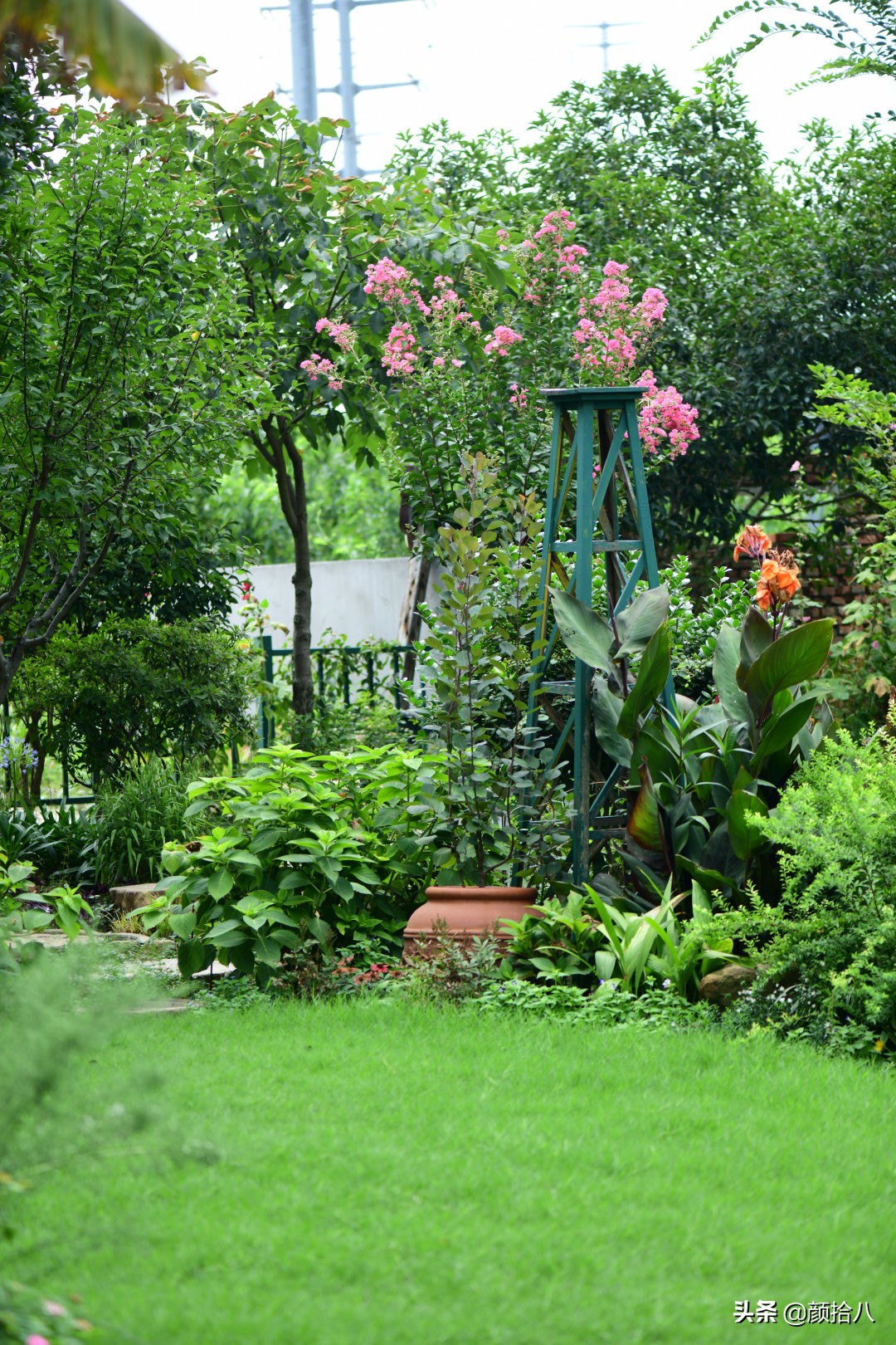 看到你的花园那么惨，我就安心了|园丁