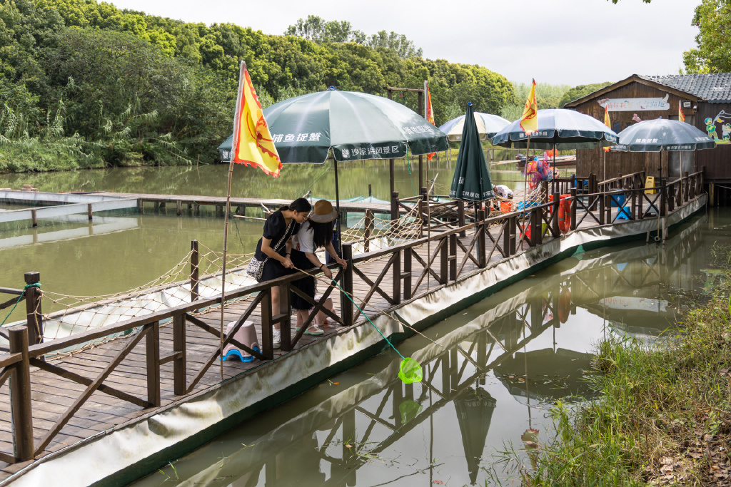 常熟沙家浜夏天游玩,沙家浜体验项目