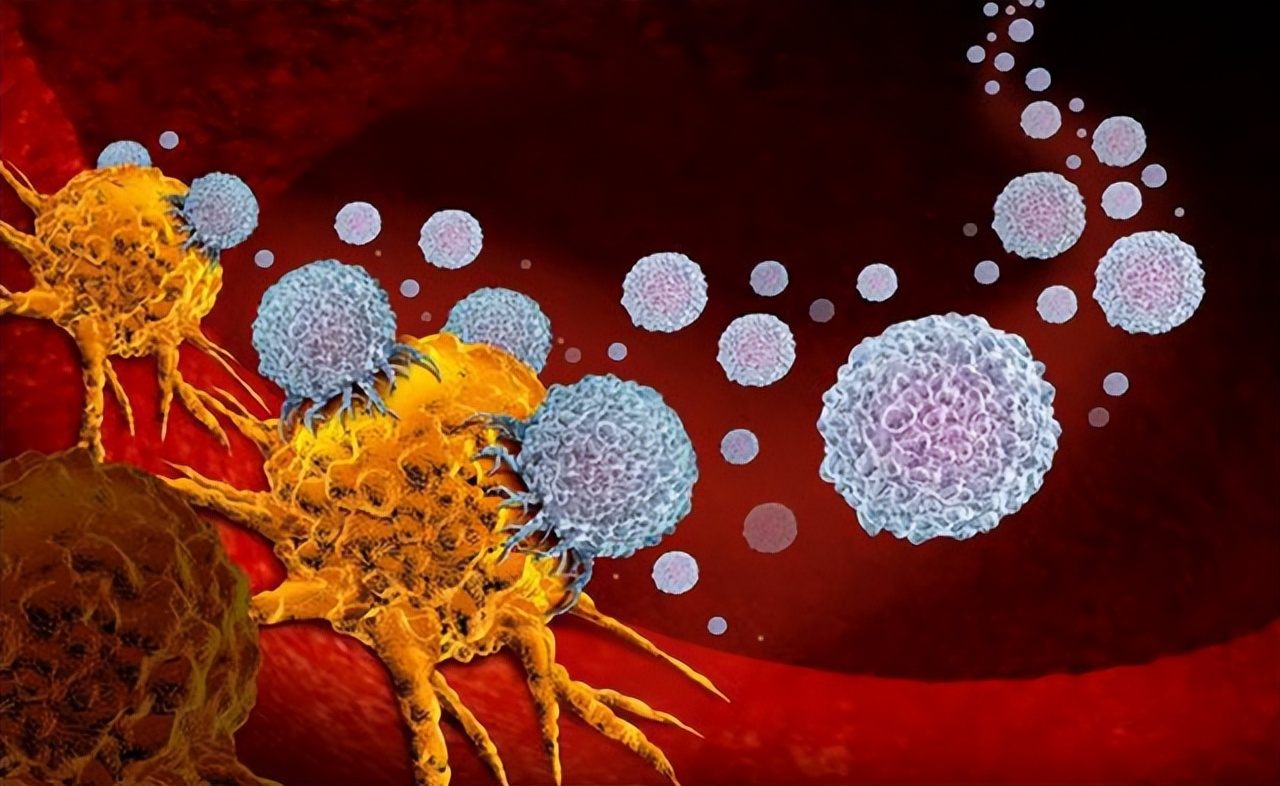 如果发现病不治能活多久,如果发现患癌不治疗的话能挺多久