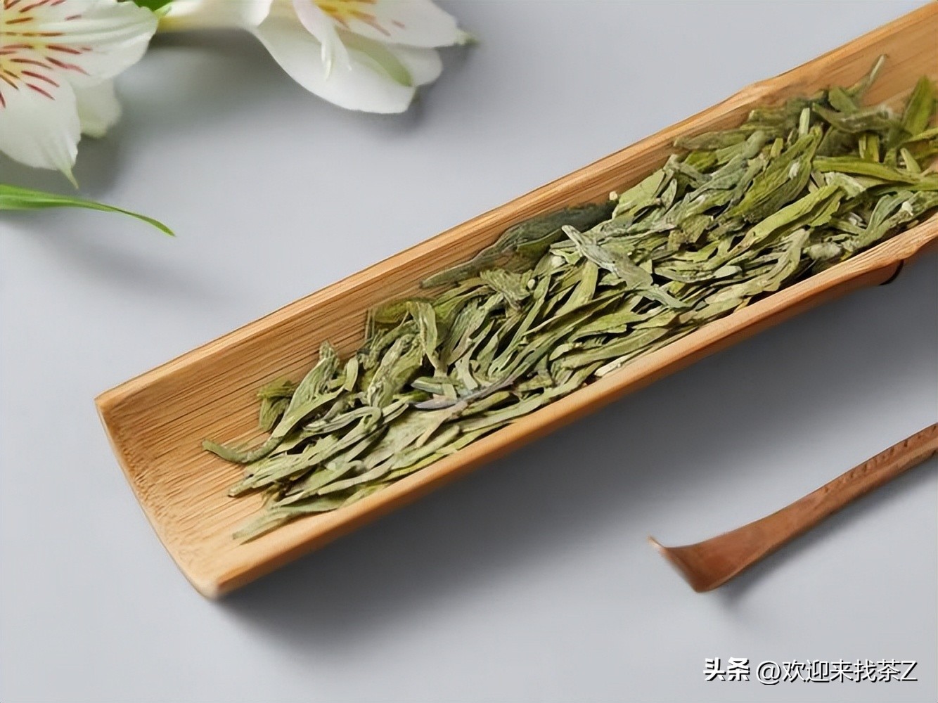 315茶叶骗局揭秘视频,现在买茶的新骗局是什么