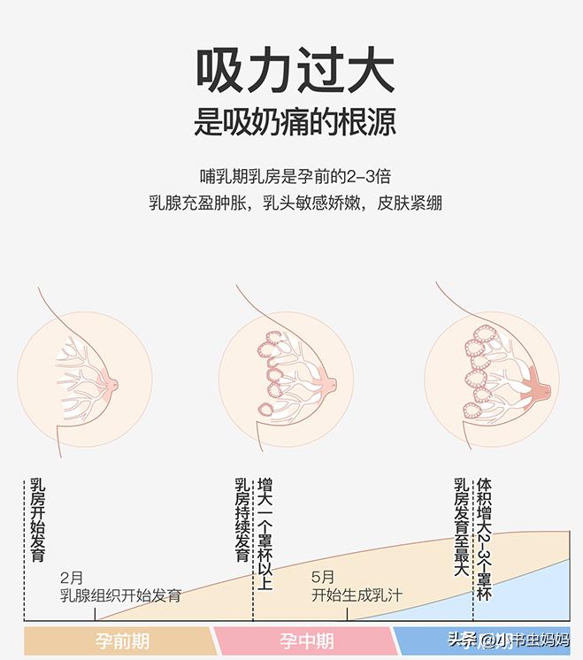 吸奶器选品牌,怎么挑选适合自己的吸奶器