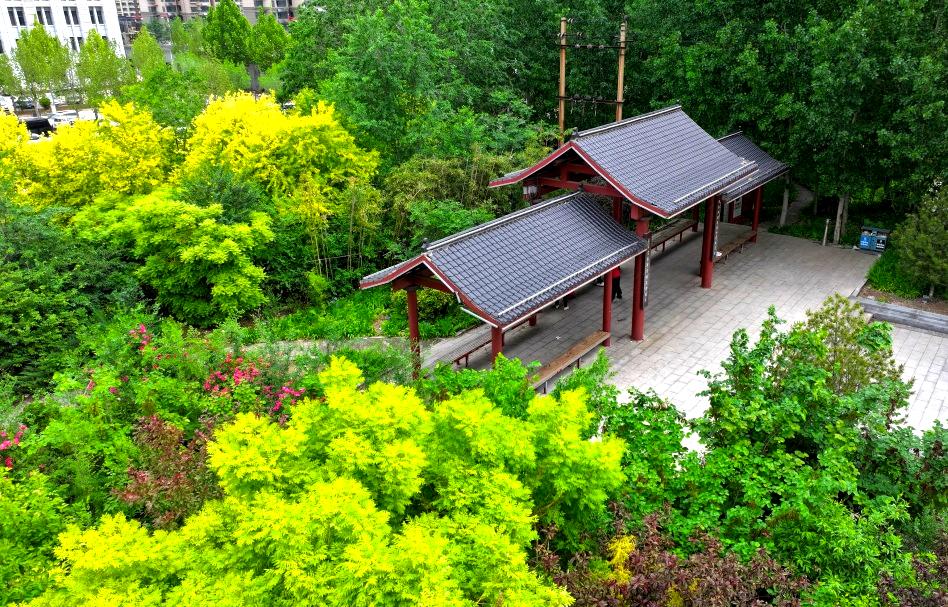 立夏时光美景,立夏时光打卡