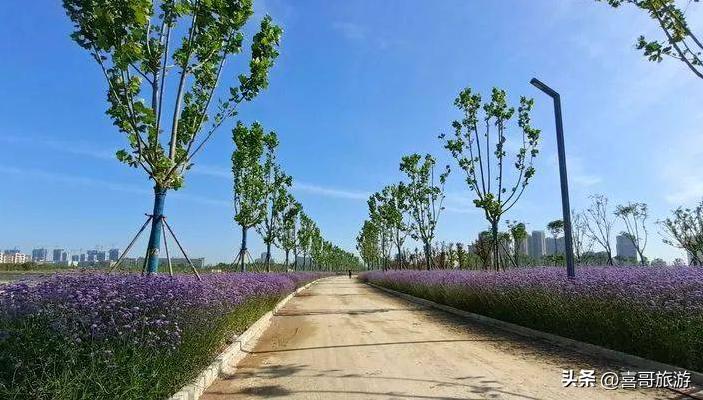 幻塔人工岛风景点位置在哪里,幻塔人工岛怎么去