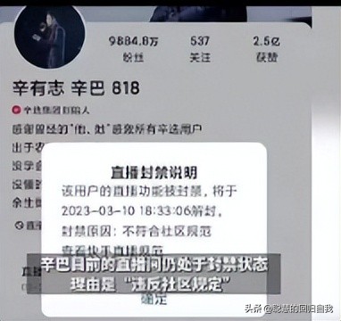 辛巴辛选和小杨臻选两大直播电商路线截然不同，你们更喜欢谁？