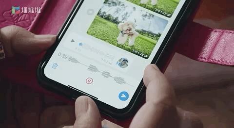 治好了我的精神内耗,我的阿勒泰治好了我的精神内耗