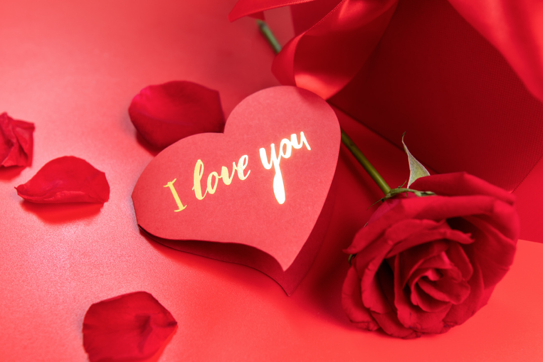 花的物语丨知道了花的这些特殊寓意,下次还会乱送吗?