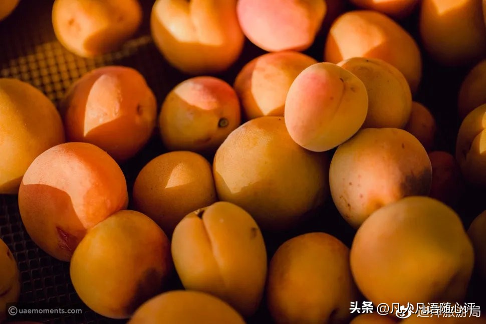 阿拉伯传统冷饮：“放下手里的汽水！”