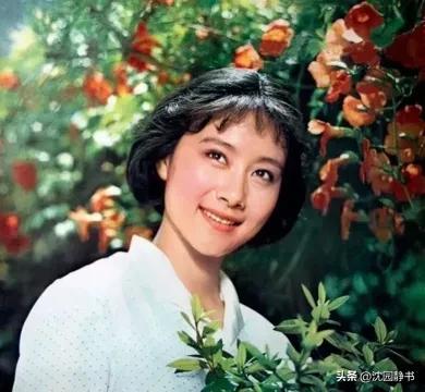 长得貌美如花演技不温不火女星,女明星惊艳时光的盛世美颜