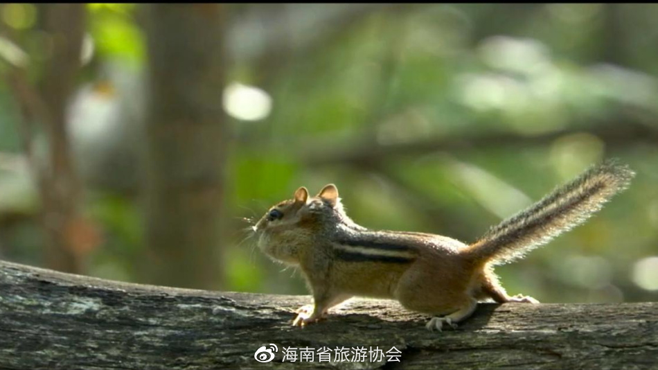 保亭七仙岭奇峰,七仙岭温泉团