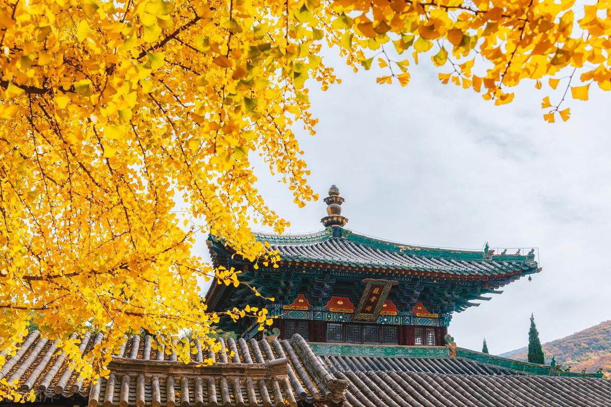 上班族投资理财增加财富,定投银行股靠谱吗