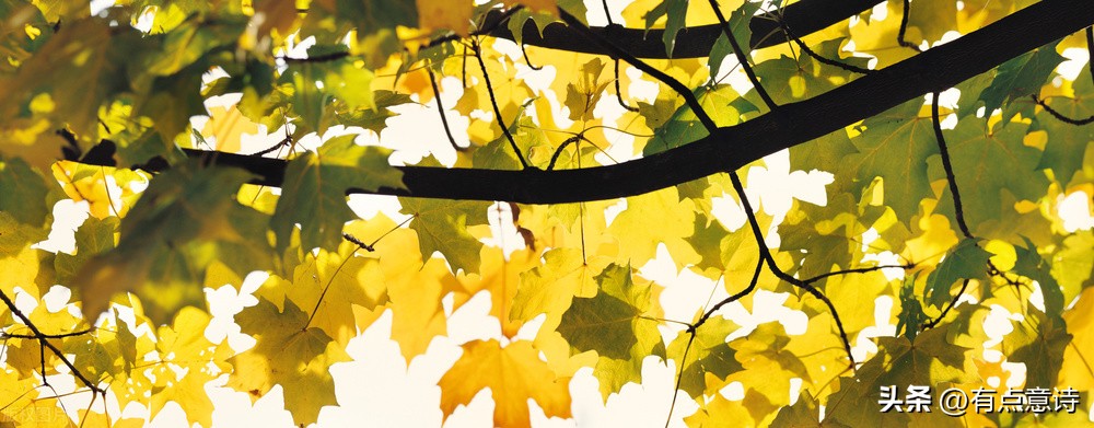 回顾2020年离世的十位名人,回顾2018年十位离世的名人