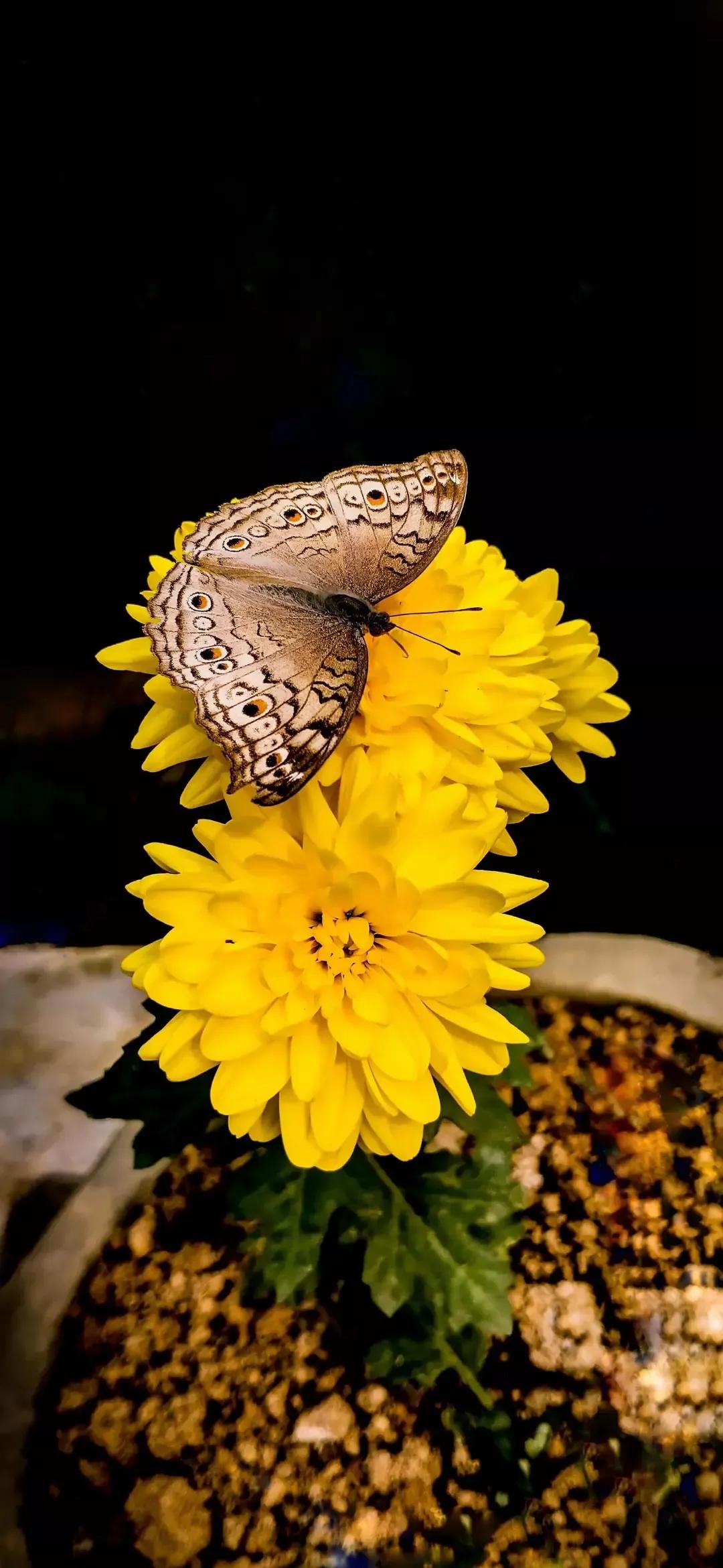 歼20高清壁纸4k全屏无水印,精选壁纸高清无水印高级感